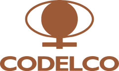 Codelco Logo