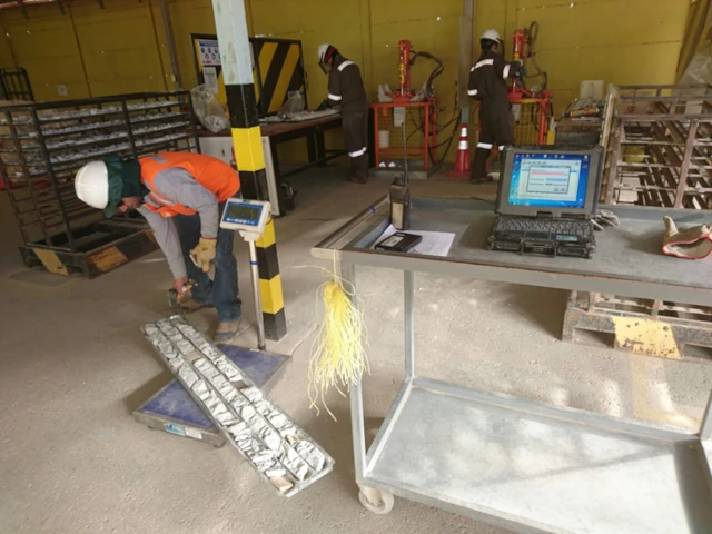 Corte y Procesado de Testigos