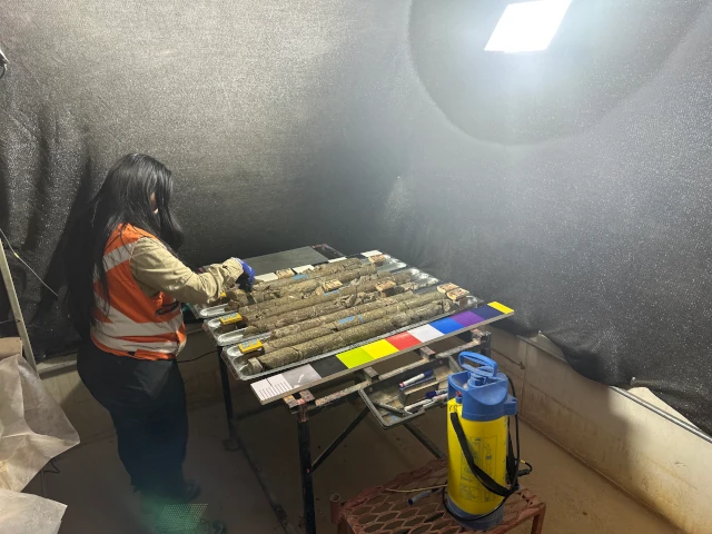 Fotografía de Bandejas de Testigos