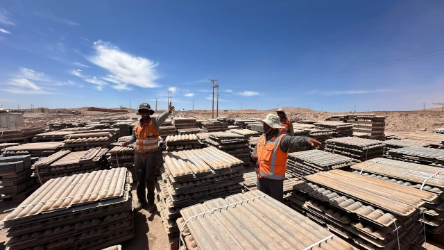 Traslado y Custodia de Muestras
